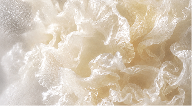 Tremella Mushroom