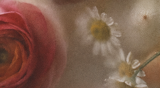 Rose & chamomile