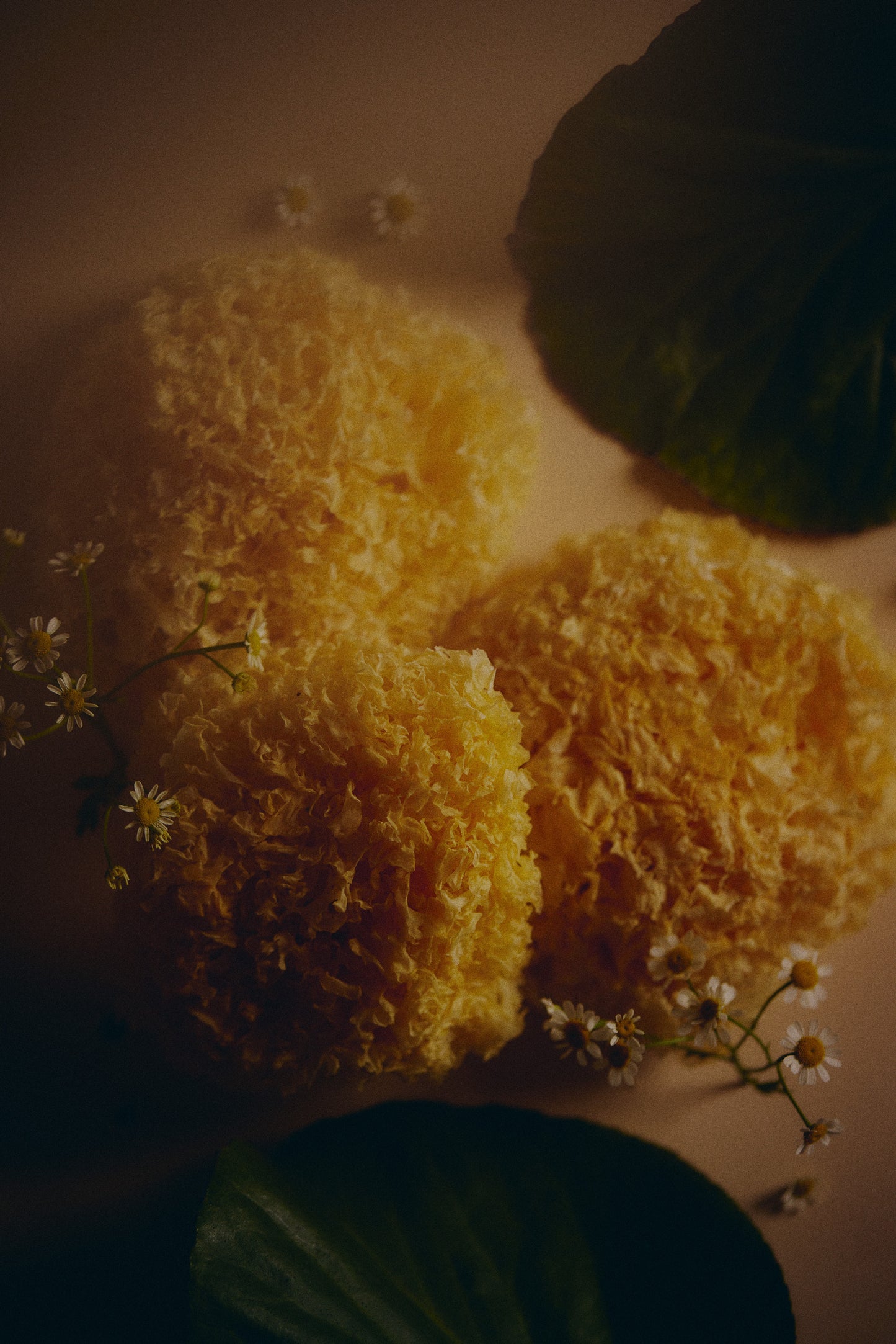 Facial Toner Unscented